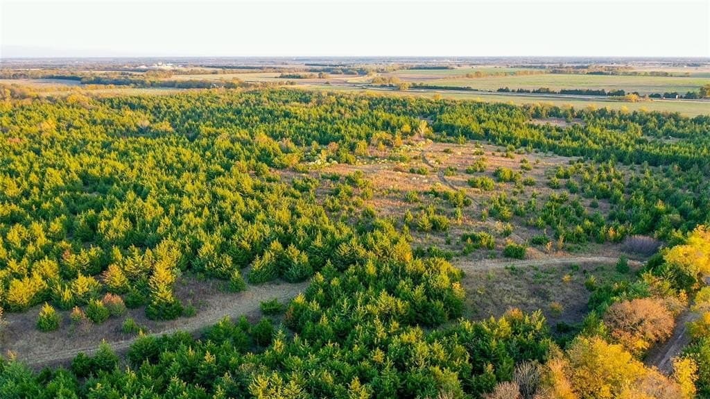 15 acres in Lamar County - photo 13