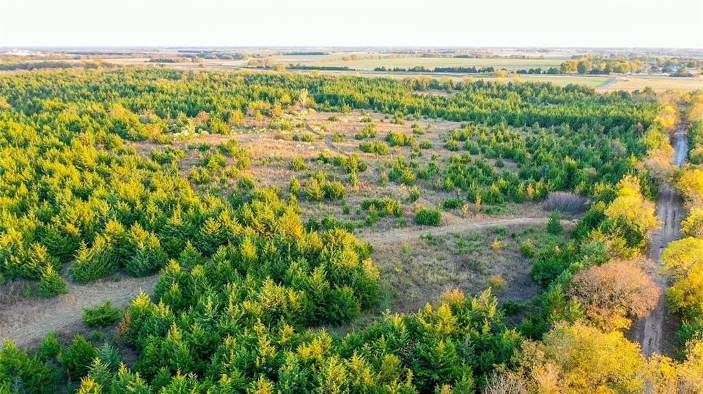 15 acres in Lamar County - photo 16