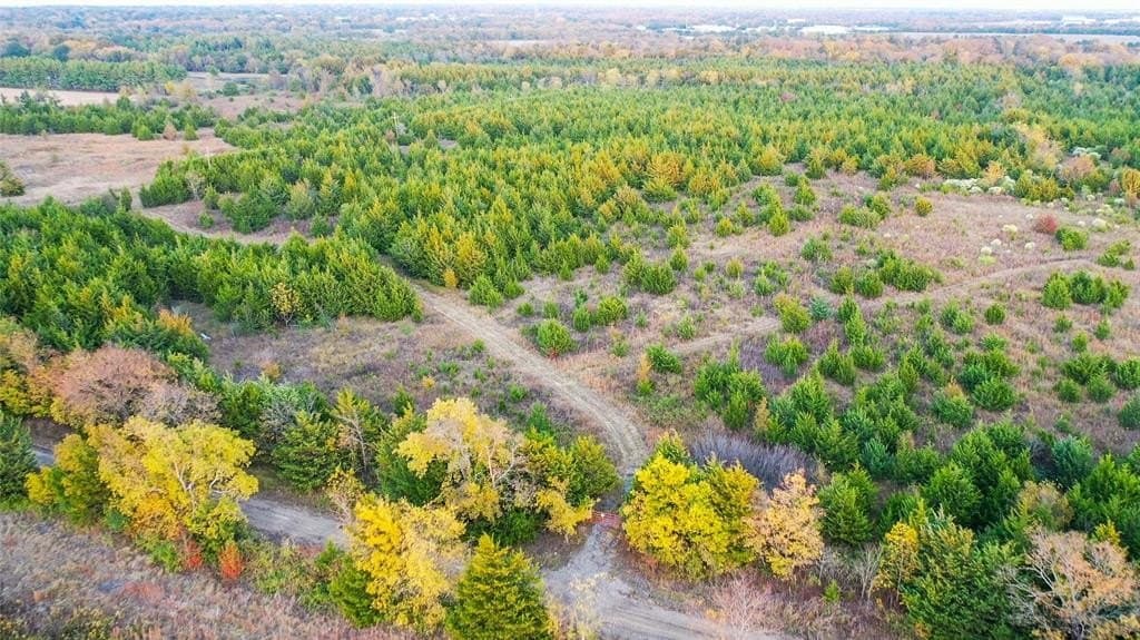 15 acres in Lamar County - photo 12