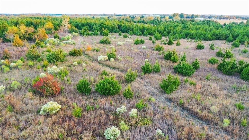 15 acres in Lamar County - photo 7