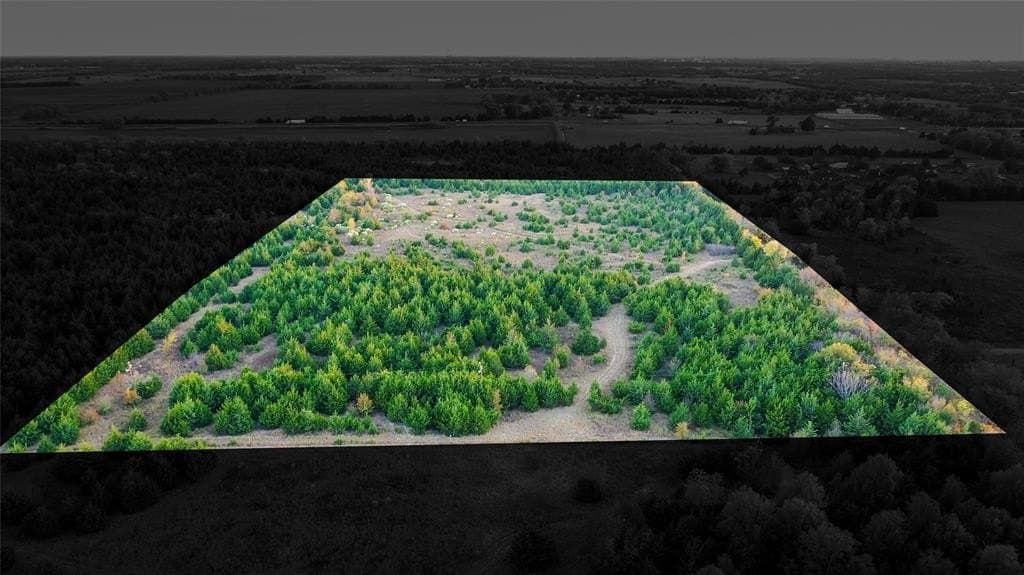 15 acres in Lamar County - photo 4