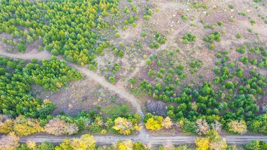 15 acres in Lamar County - photo 11
