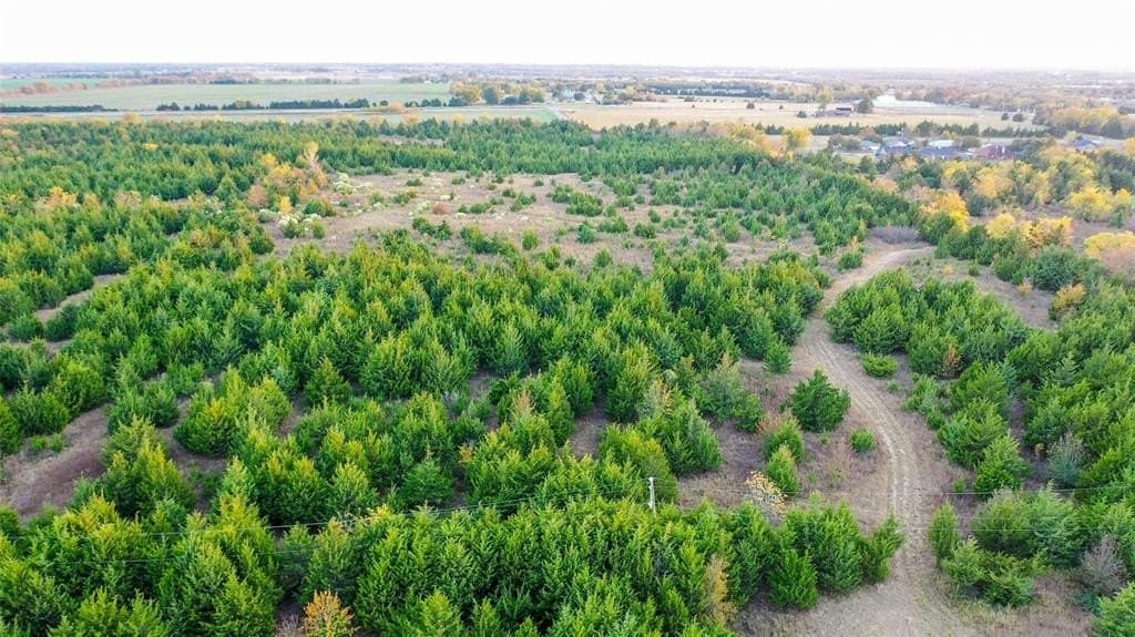 15 acres in Lamar County - photo 6