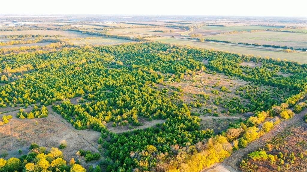 15 acres in Lamar County - photo 14