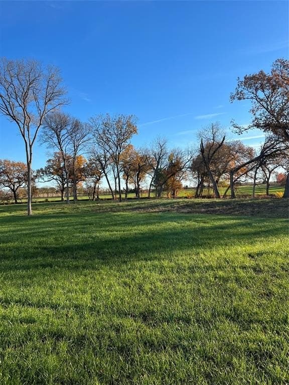 8.2 acres in Cooke County - photo 30