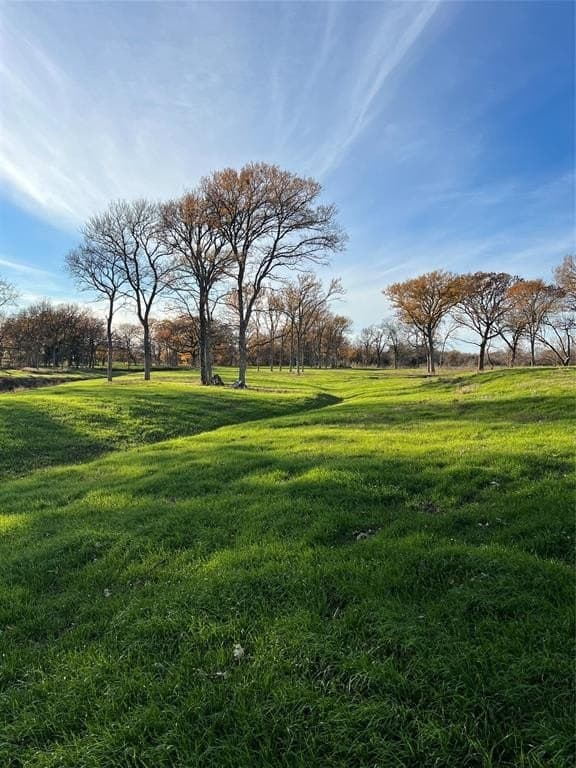 8.2 acres in Cooke County - photo 23
