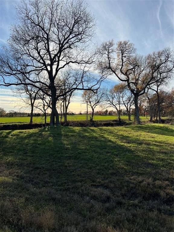 8.2 acres in Cooke County - photo 11