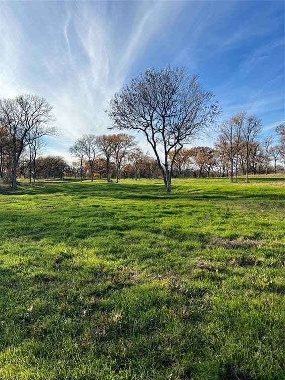 8.2 acres in Cooke County - photo 5