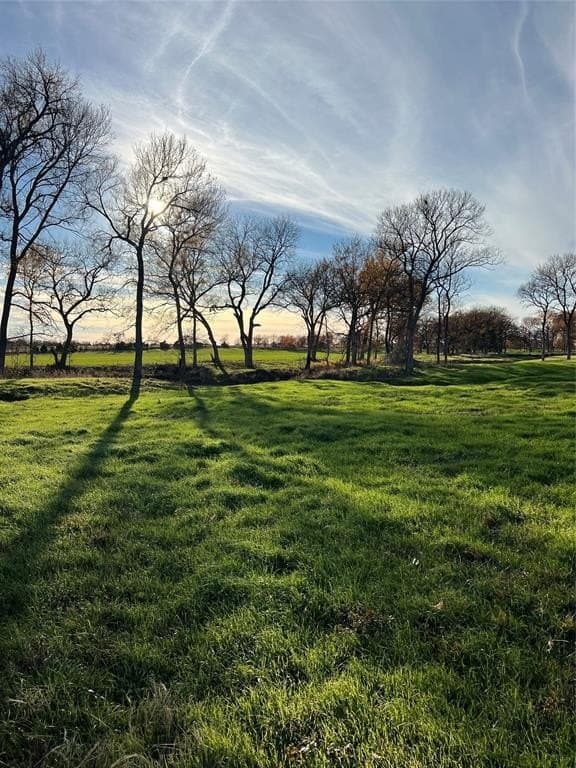 8.2 acres in Cooke County - photo 4