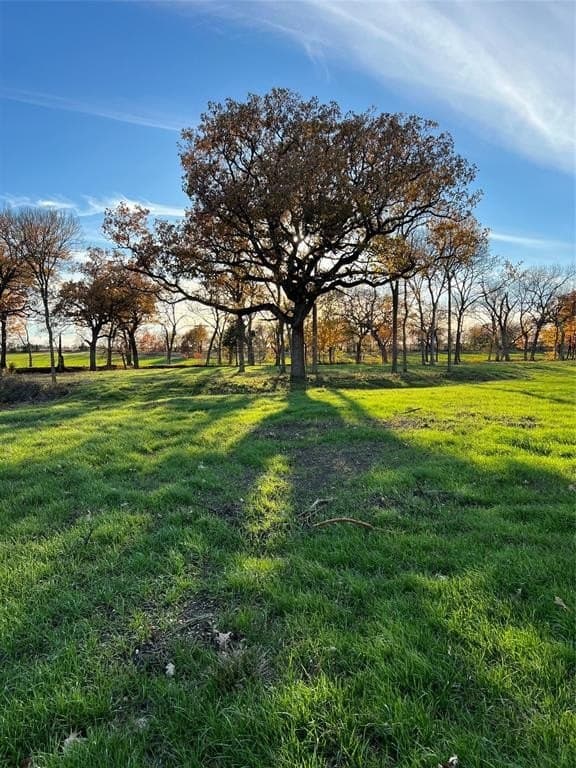 8.2 acres in Cooke County - photo 26