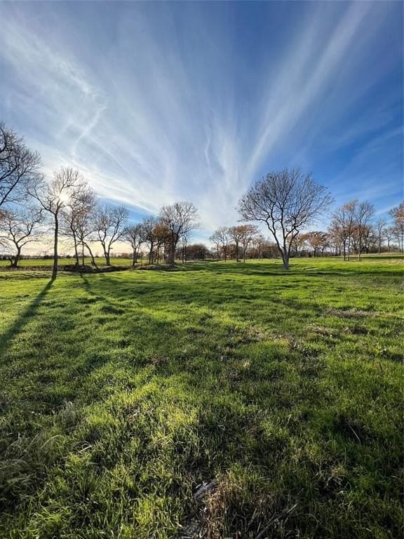 8.2 acres in Cooke County - photo 6