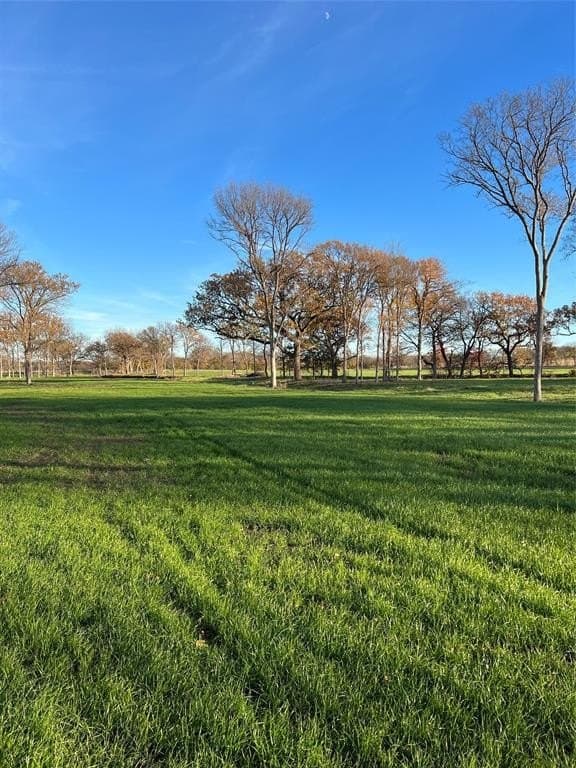 8.2 acres in Cooke County - photo 29