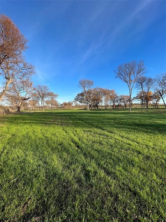 8.2 acres in Cooke County - photo 31