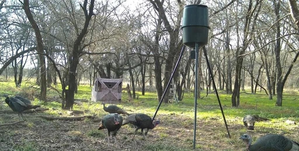 75 acres in Palo Pinto County - photo 23