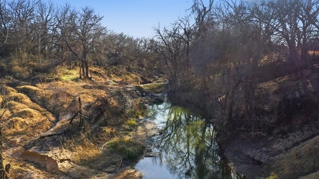 75 acres in Palo Pinto County - photo 9