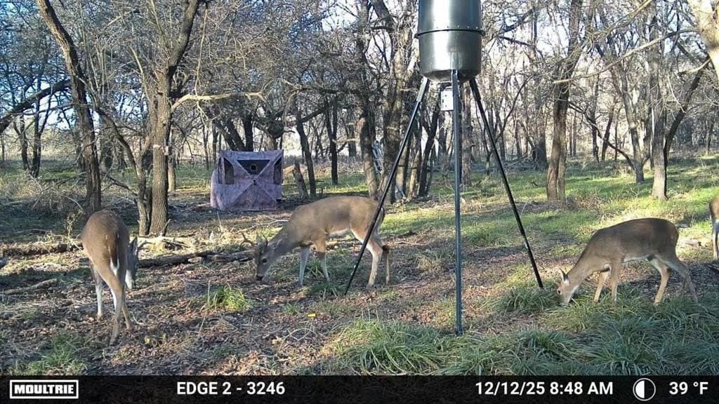 75 acres in Palo Pinto County - photo 21