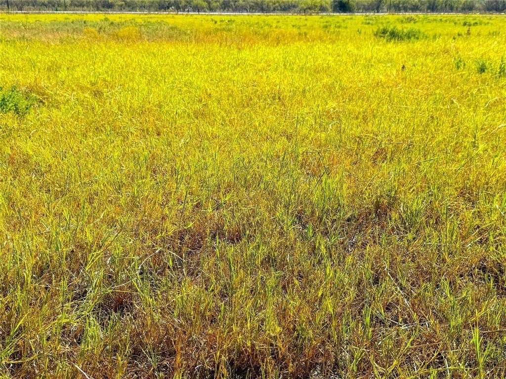 5 acres in Palo Pinto County - photo 12