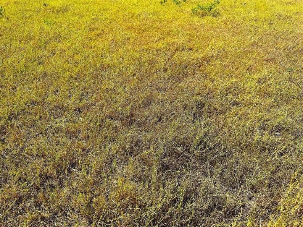 5 acres in Palo Pinto County - photo 5