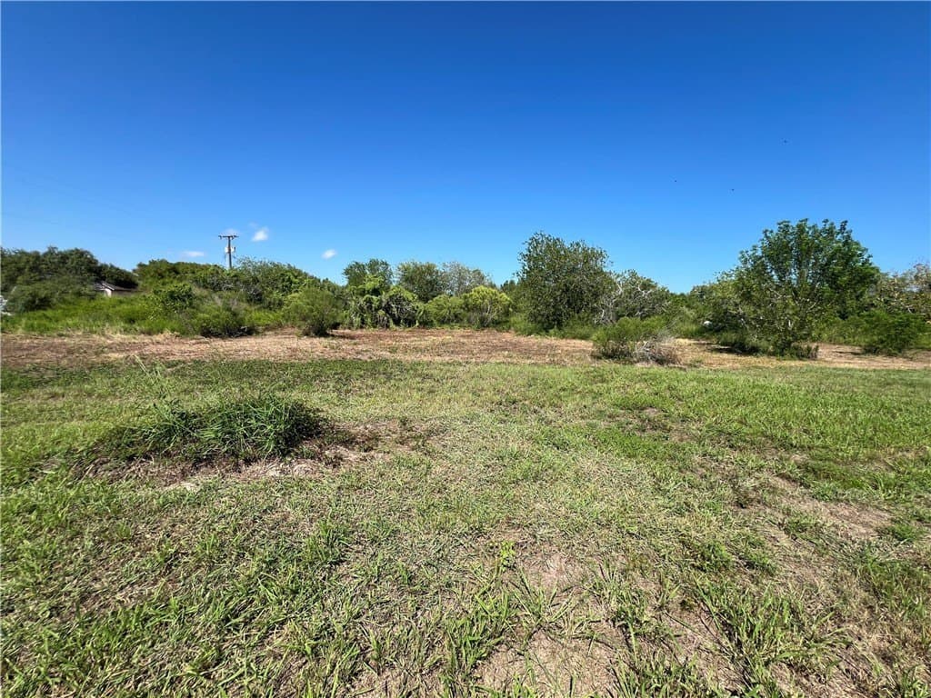 1.5 acres in San Patricio County - photo 4