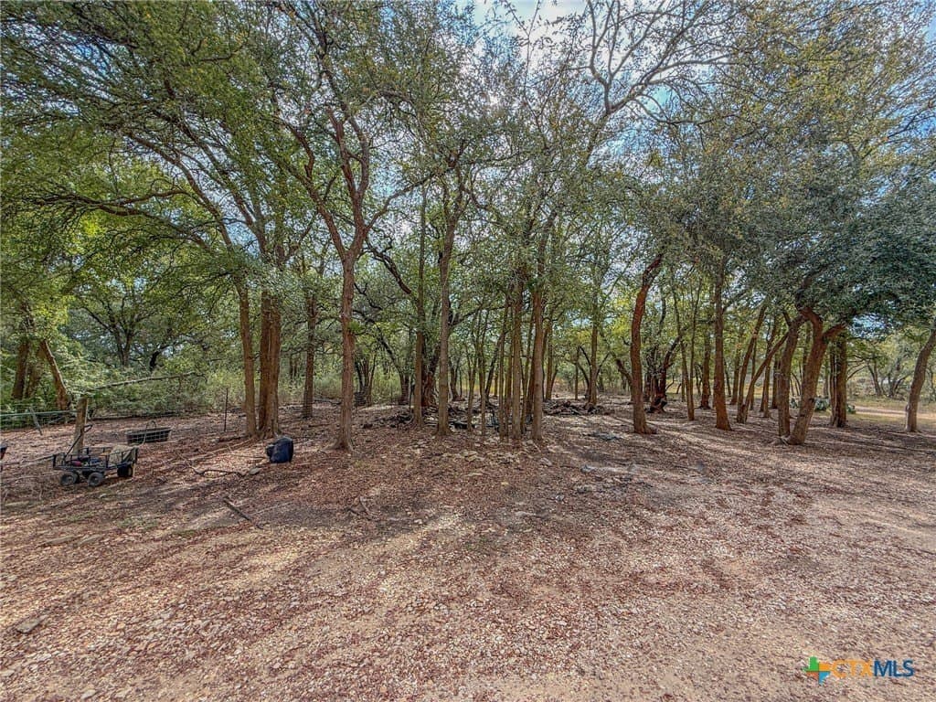 10 acres in Williamson County - photo 5