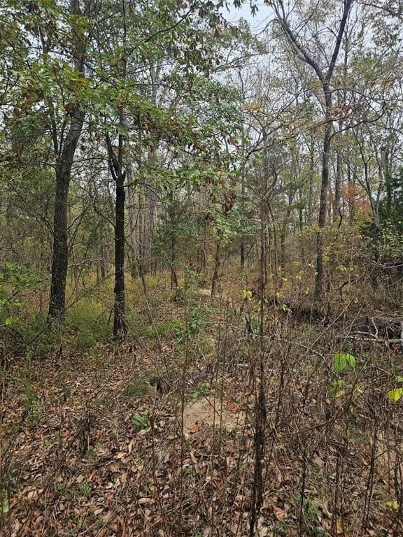 10.18 acres in Henderson County - photo 15