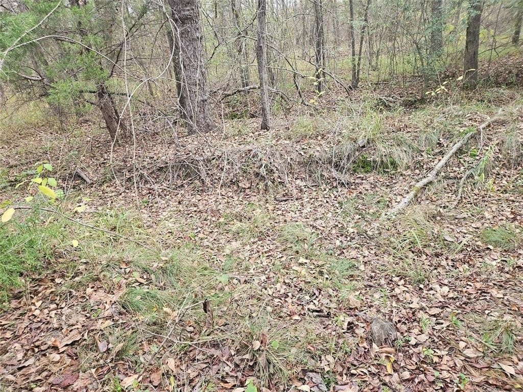 10.18 acres in Henderson County - photo 20