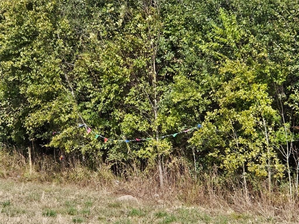 10.18 acres in Henderson County - photo 6