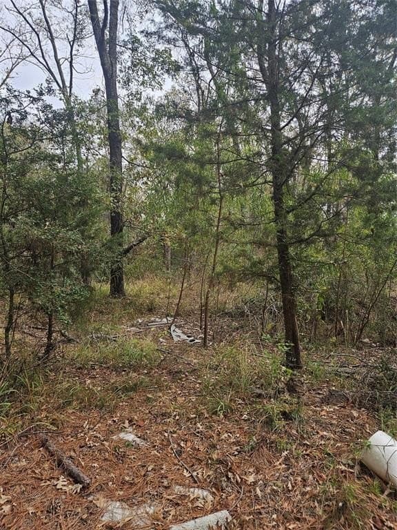 10.18 acres in Henderson County - photo 23