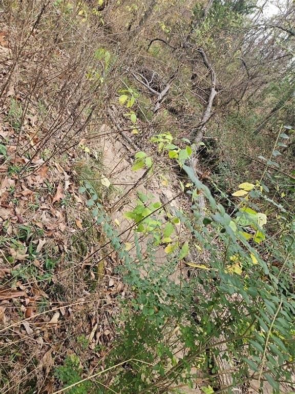 10.18 acres in Henderson County - photo 16