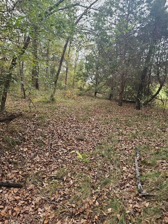 10.18 acres in Henderson County - photo 18