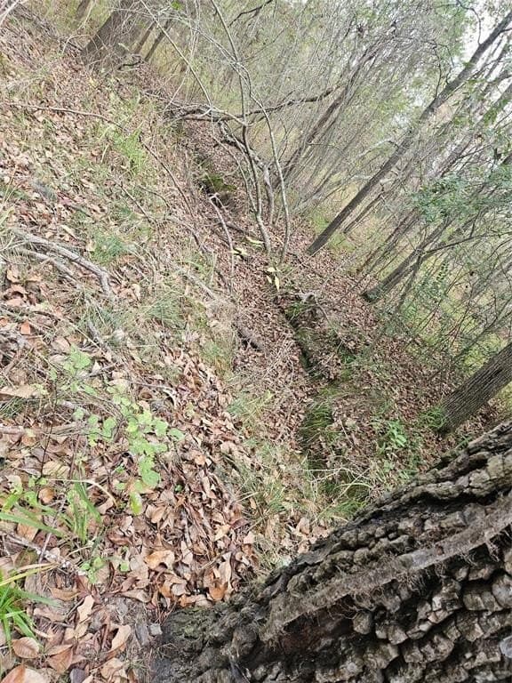 10.18 acres in Henderson County - photo 19