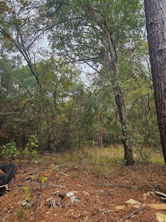 10.18 acres in Henderson County - photo 24