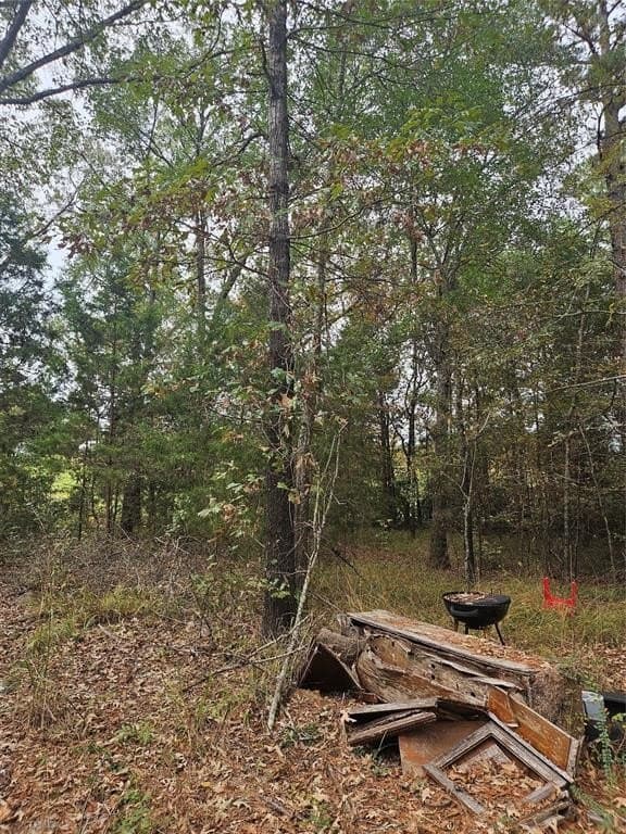 10.18 acres in Henderson County - photo 25
