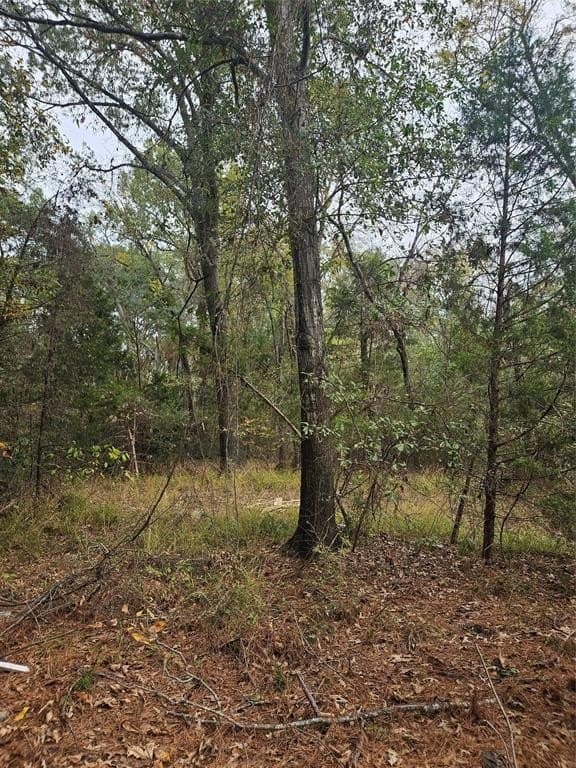 10.18 acres in Henderson County - photo 21