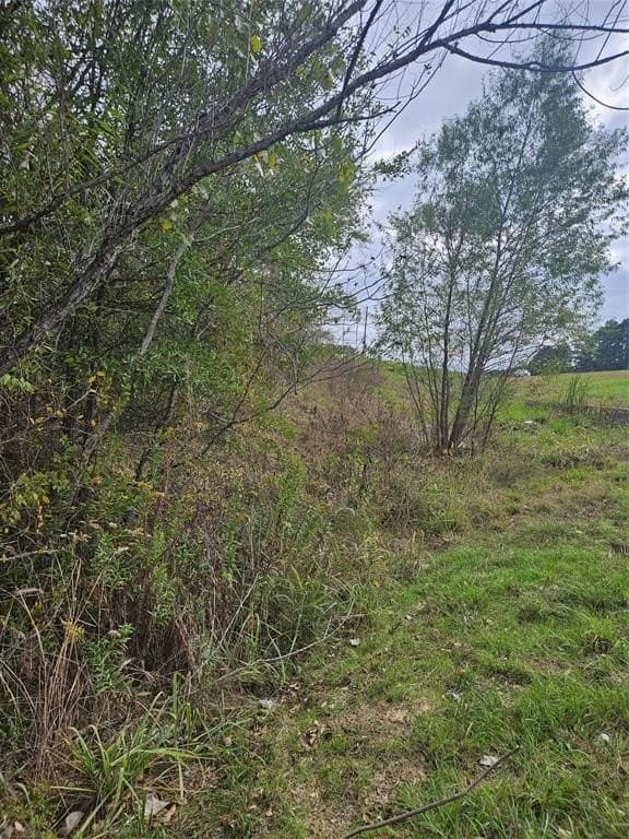 10.18 acres in Henderson County - photo 14