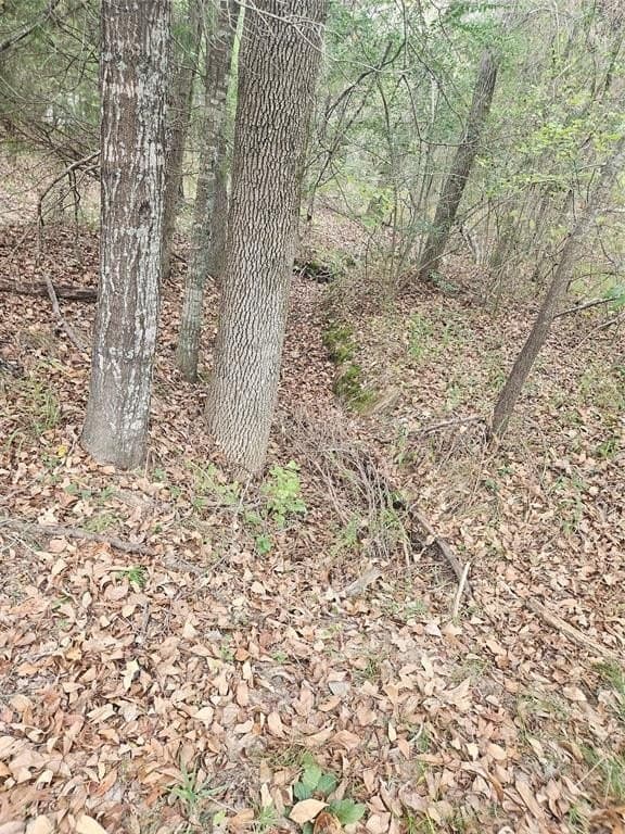 10.18 acres in Henderson County - photo 17