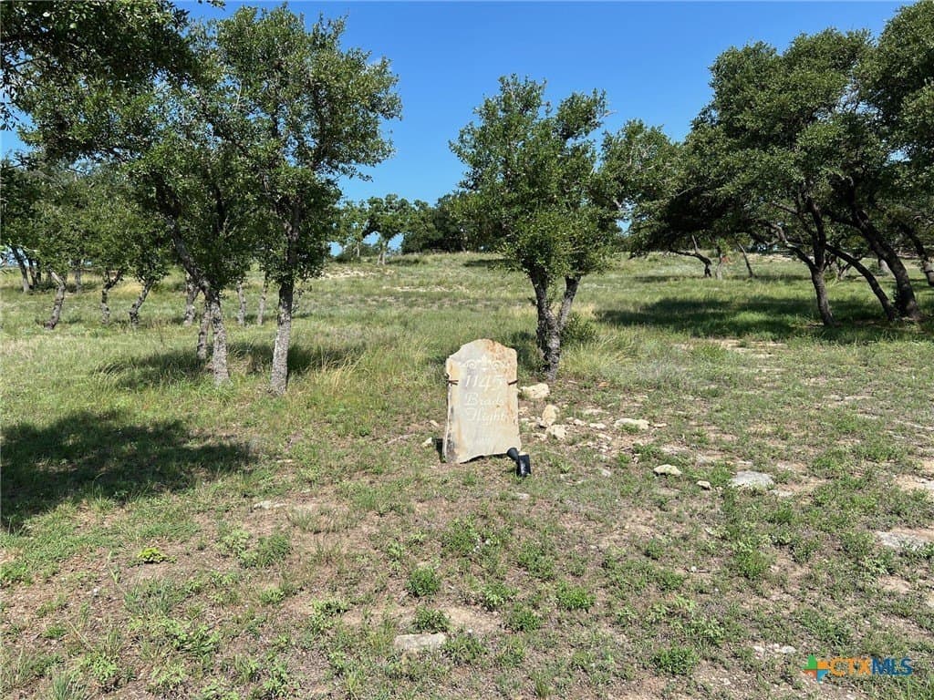1.23 acres in Comal County - photo 4