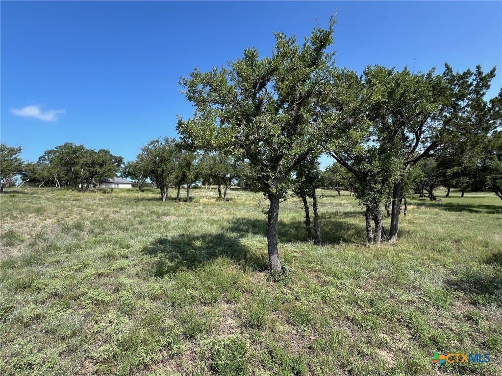 1.23 acres in Comal County - photo 15