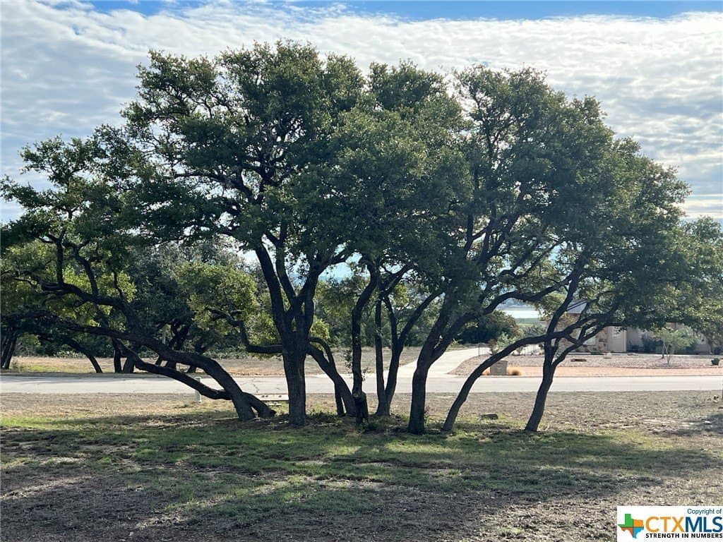1.23 acres in Comal County - photo 10