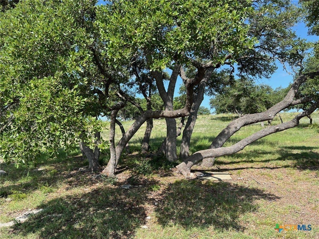 1.23 acres in Comal County - photo 9