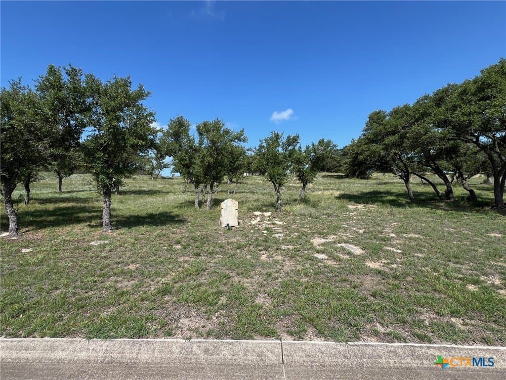 1.23 acres in Comal County - photo 8