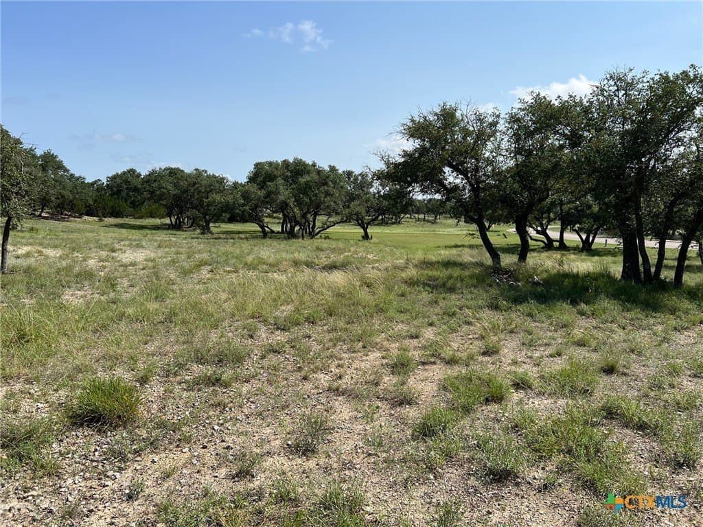 1.23 acres in Comal County - photo 14