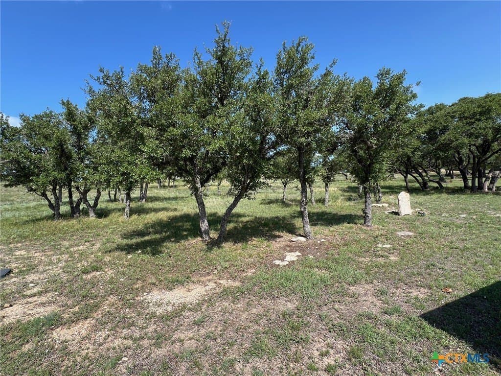 1.23 acres in Comal County - photo 13