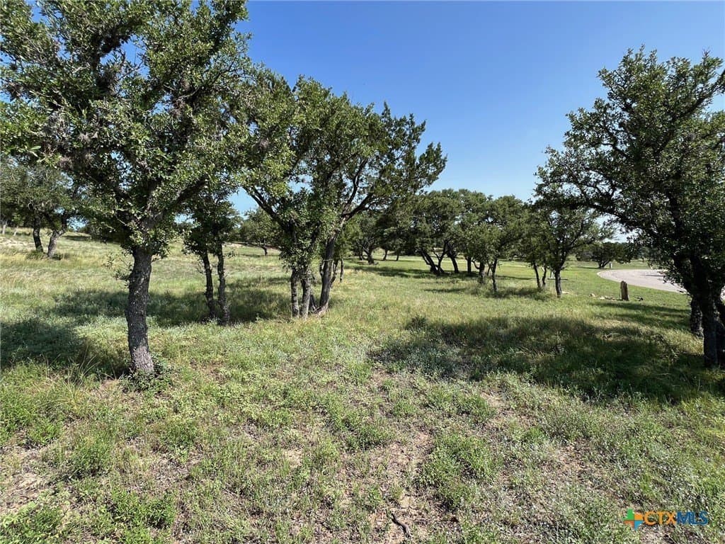 1.23 acres in Comal County - photo 11