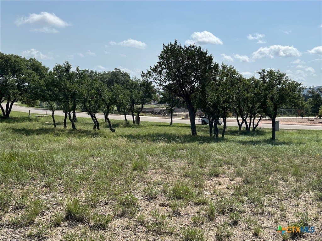 1.23 acres in Comal County - photo 12