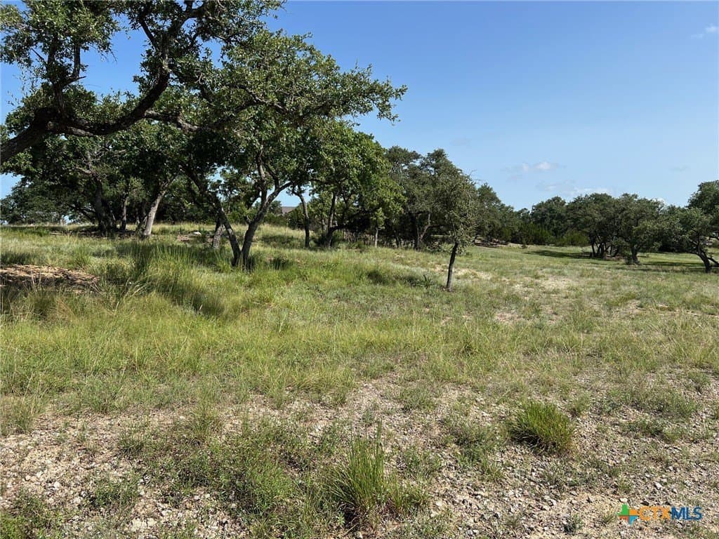 1.23 acres in Comal County - photo 24