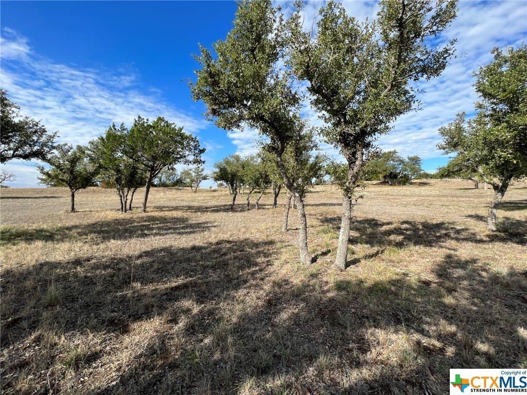 1.23 acres in Comal County - photo 6