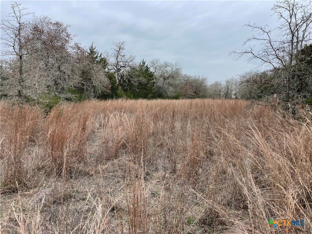 13.14 acres in Caldwell County - photo 4
