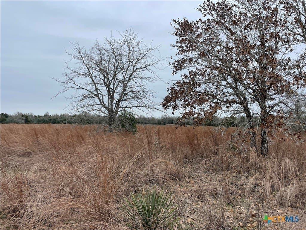13.14 acres in Caldwell County - photo 7