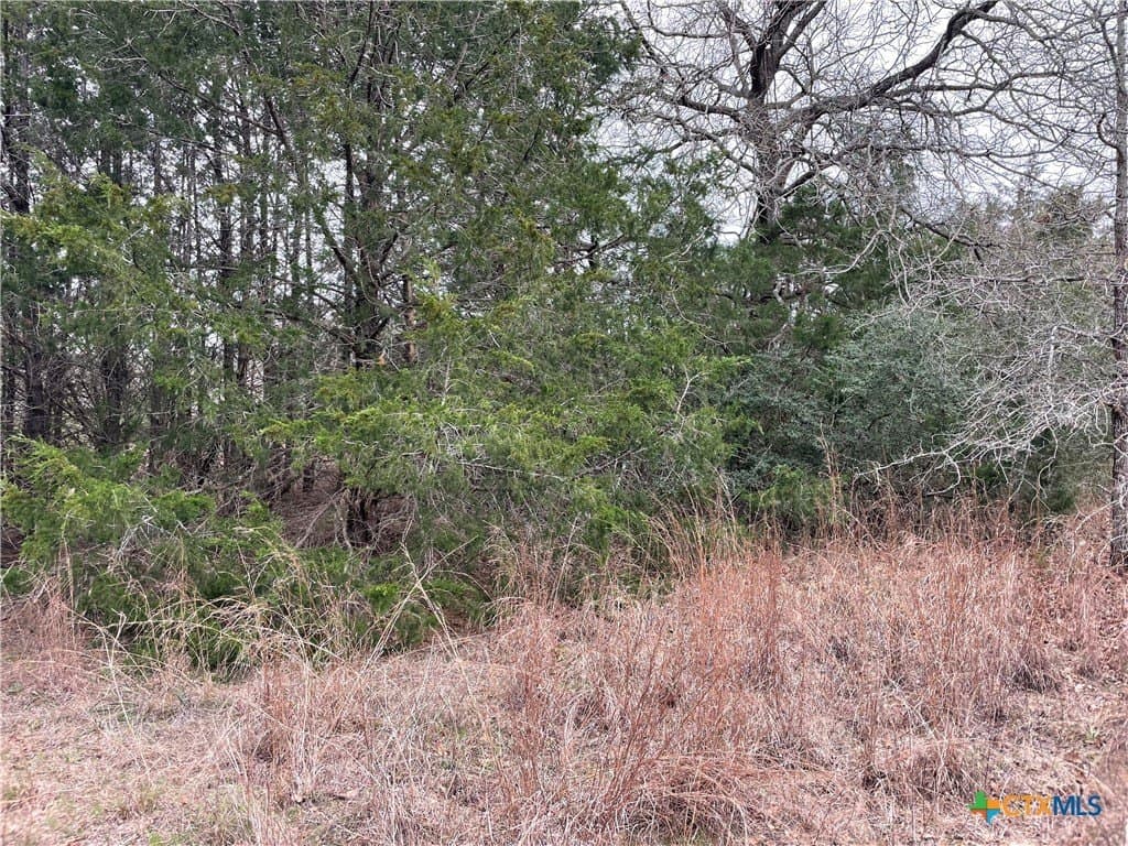 13.14 acres in Caldwell County - photo 3
